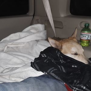 Meet your Posher, Jeff